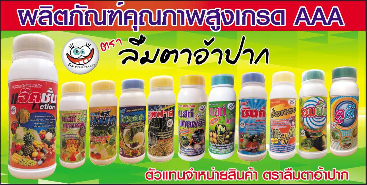 ลำไย,ลำไยนอกฤดู,การทำลำไย,บำรุงลำไย,ทำดอกลำไย,ตัดใบอ่อนลำไย