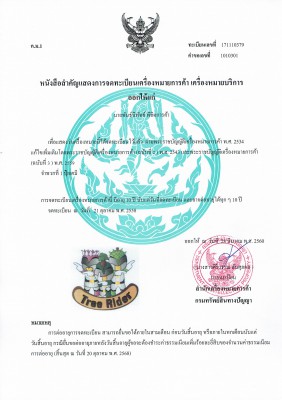 ทรีไรเดอร์18032561.jpg