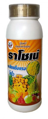 ราโชเน่ s.jpg