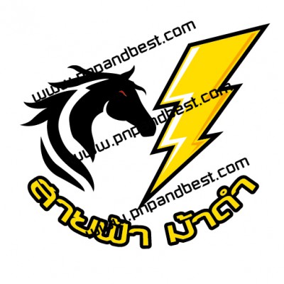 LOGO สายฟ้า ม้าดำ-01 (2).jpg